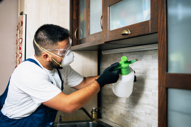 Best Pest Prevention Services  in Krum, TX