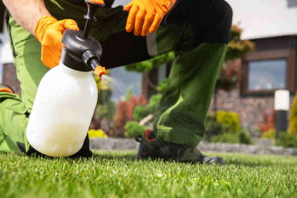 Best Pest Removal Services  in Krum, TX