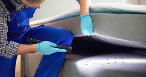 Best Pest Prevention Services  in Krum, TX