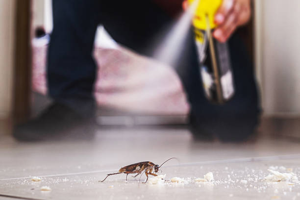 Best Emergency Pest Control  in Krum, TX