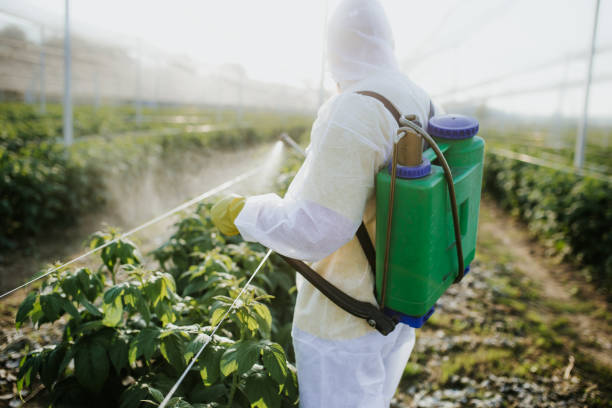 Best Pest Removal Services  in Krum, TX